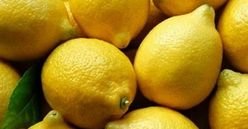 sulu-limon