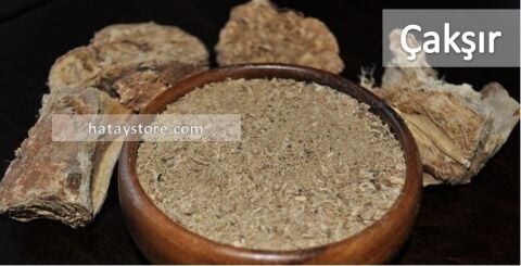 Çakşır Otu Kökü