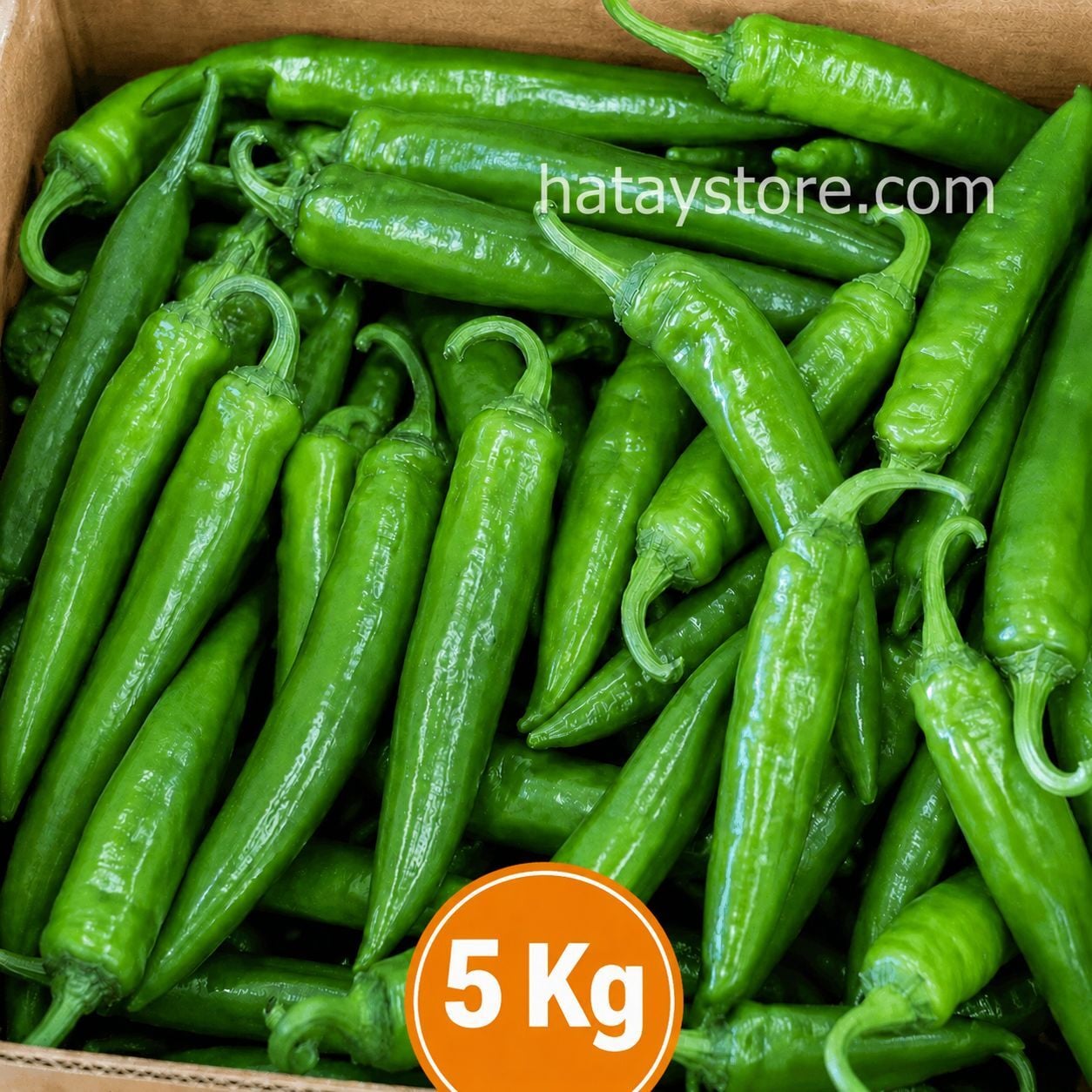 Samandağ Biberi 5 kg