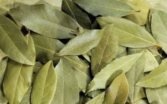 Defne Yaprağı 30 gr