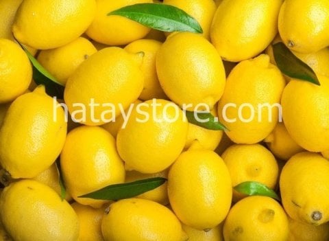 Limon