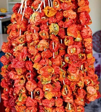 Kuru biber dolmalık Tatlı (Bağ)