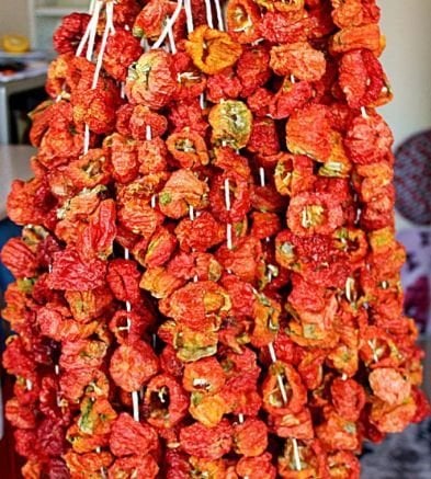 Kuru biber dolmalık Acılı (Bağ)