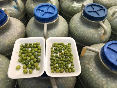 Halhalı Zeytin 1 Kg