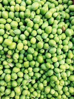 Halhalı Zeytin 1 Kg