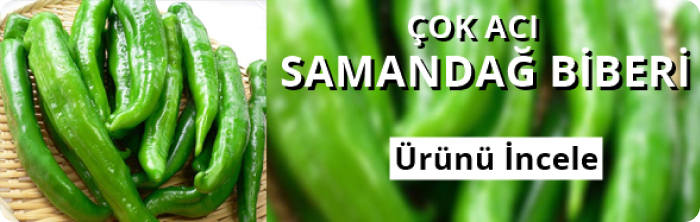 Samandağ biberi